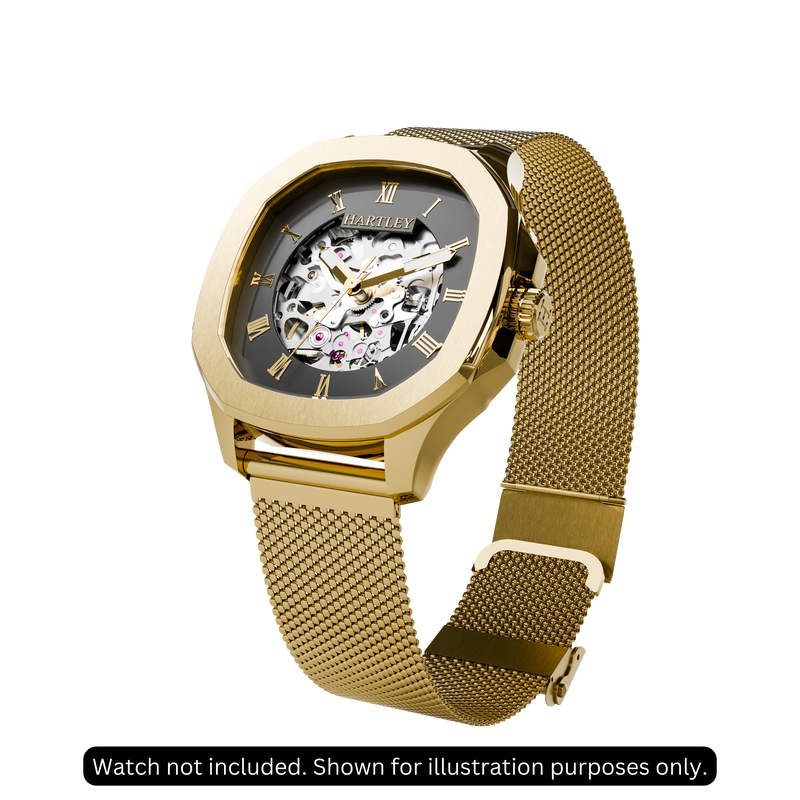 Gold Mesh Strap Example Image 1
